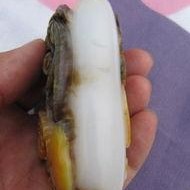 朝阳黑料,揭开真相背后的迷雾